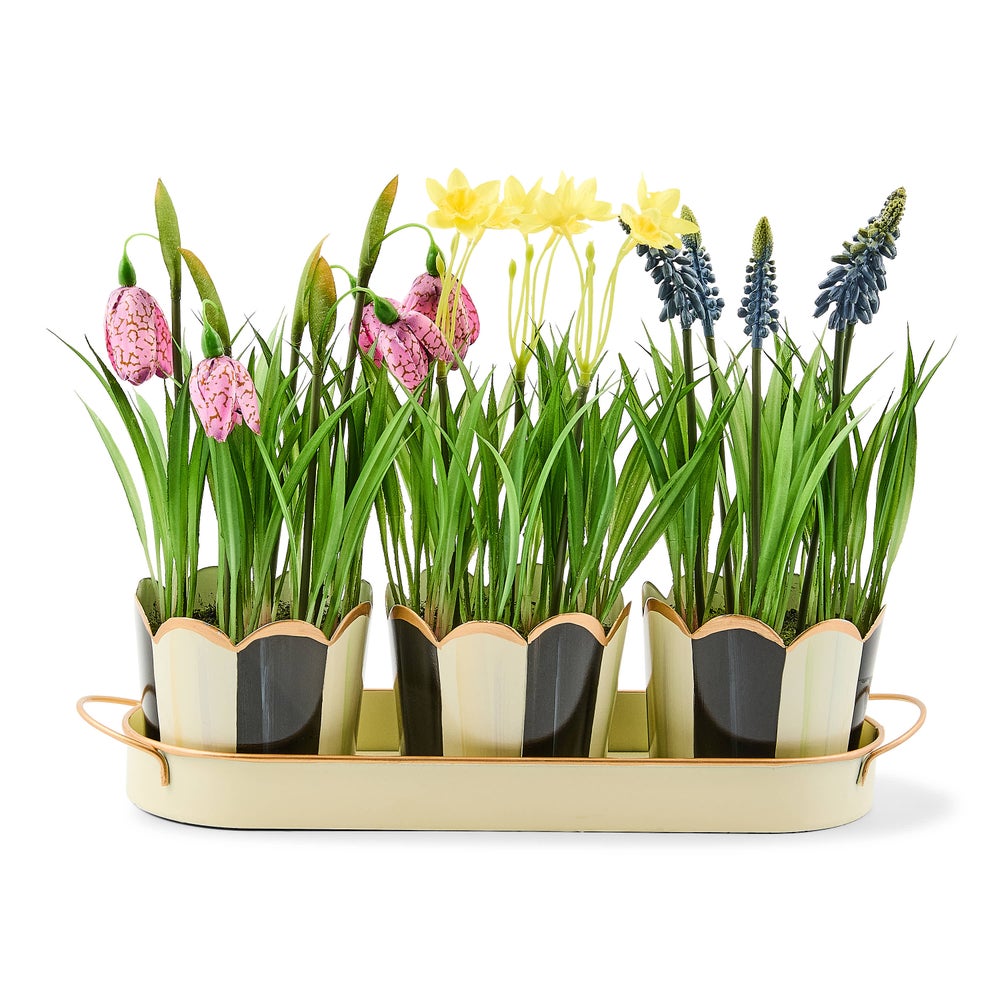 Courtly Stripe Triple Potted Blooms Mackenzie Childs