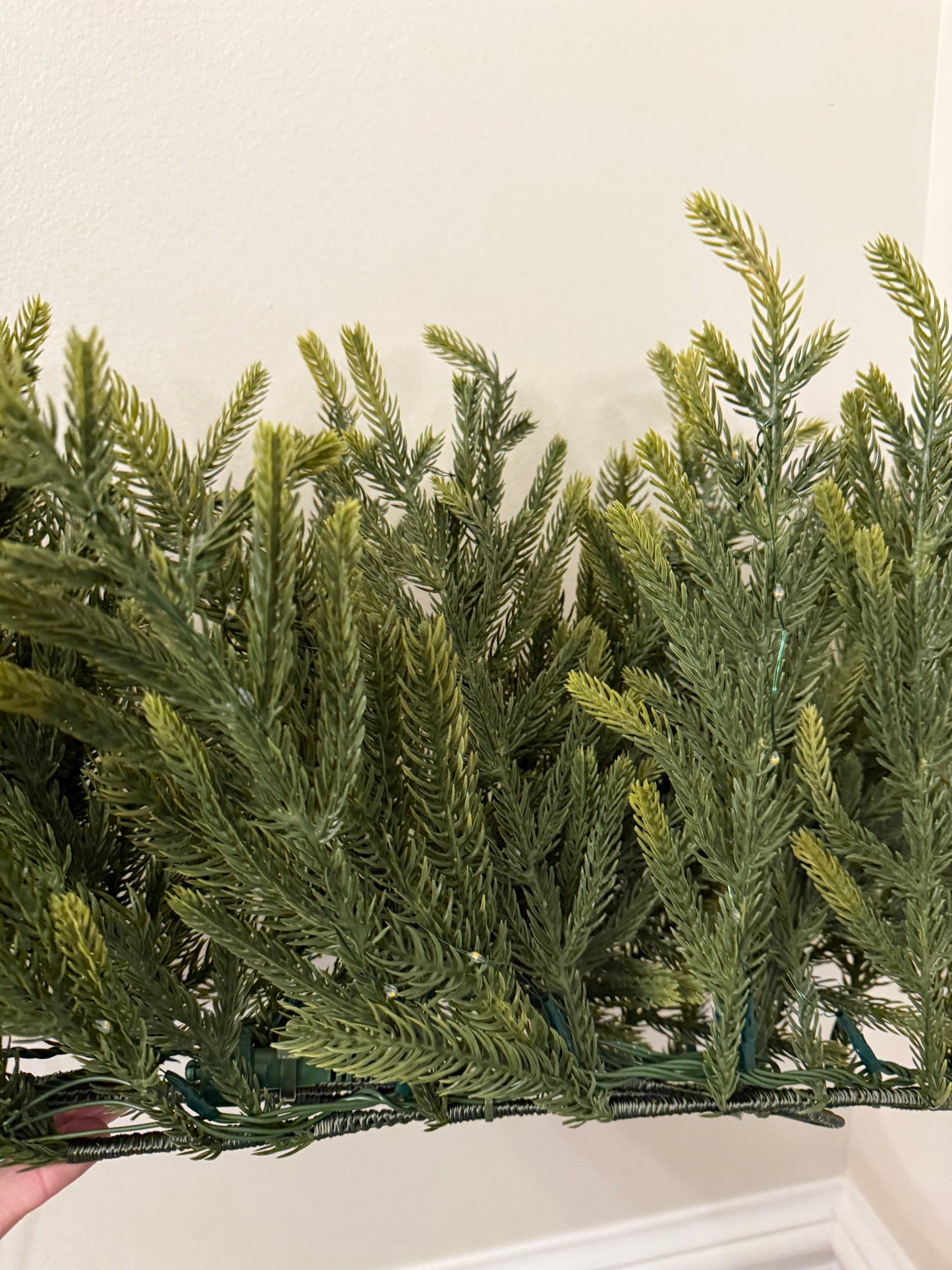 Norfolk garland with fairy lights