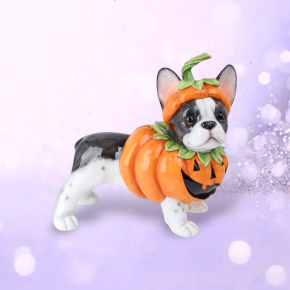 Pumpkin Bulldog