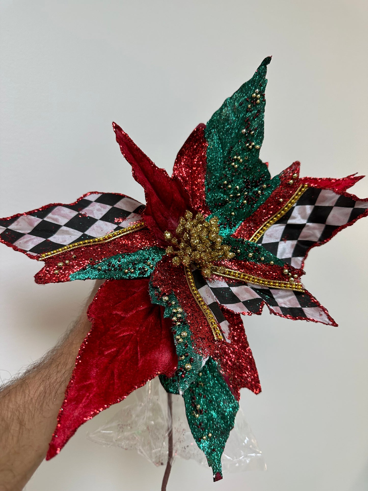 Harlequin Poinsettia