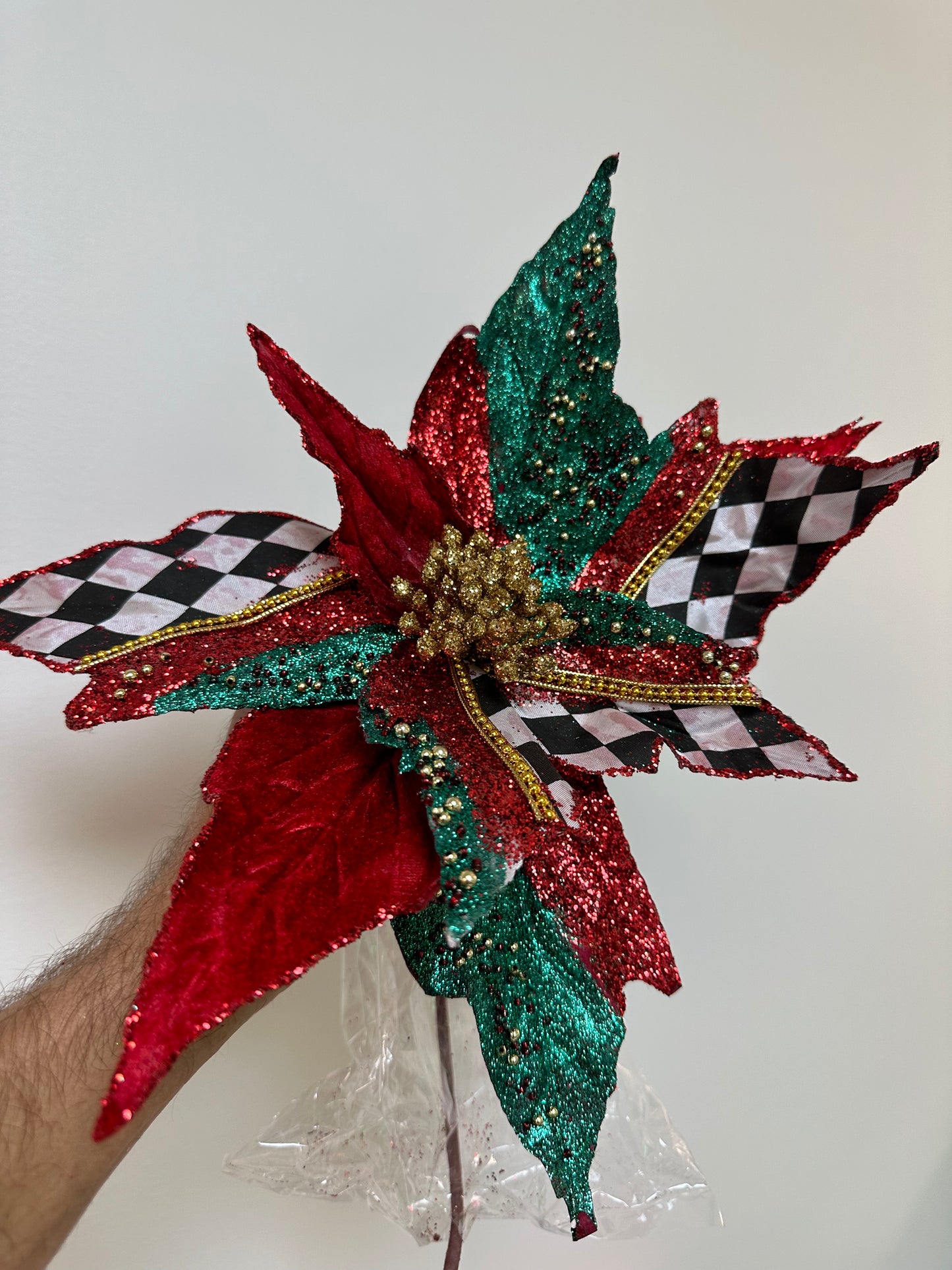 Harlequin Poinsettia