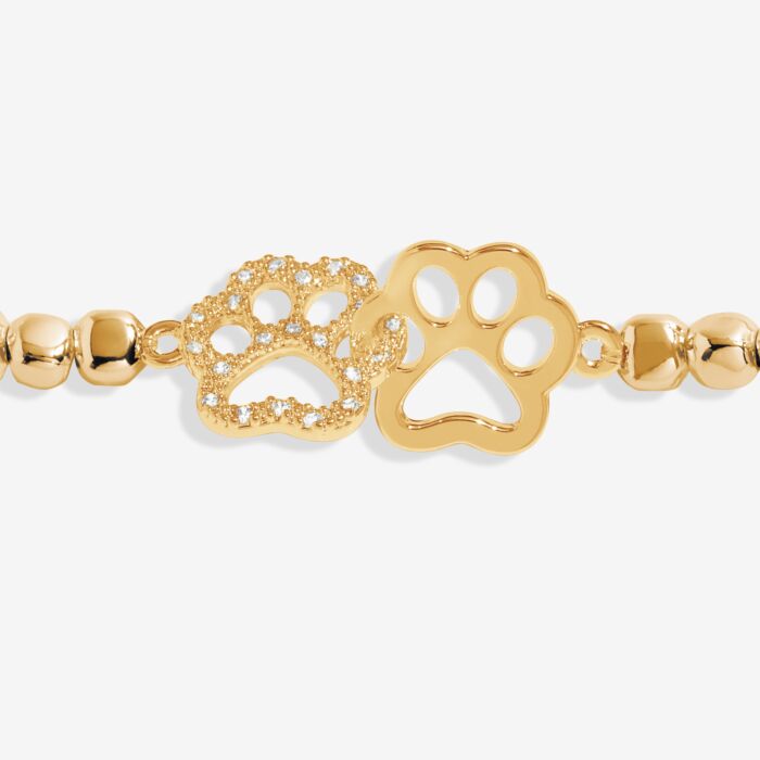 Forever Yours 'Perfect Paw Print' Bracelet In Gold-Tone Plating