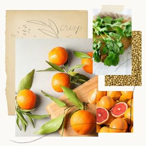 Mandarin Coriander Countertop Spray by Thymes