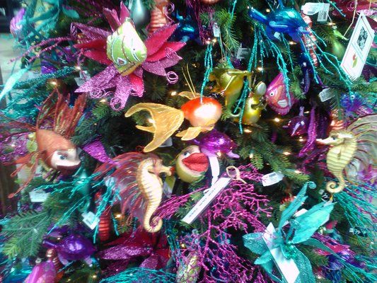 Under the Sea