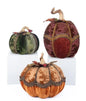 Katherine's Collection Harvest Forage Pumpkins Set of 3