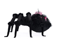 Load image into Gallery viewer, Katherine&#39;s Collection Rosie Recluse The Spider