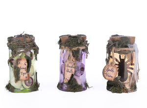 Katherine's Collection Broomstick Acres Potion Jars Set of 3