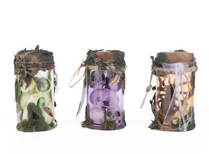 Katherine's Collection Broomstick Acres Potion Jars Set of 3