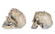 Load image into Gallery viewer, Katherine&#39;s Collection Tabletop Jewel Encrusted Skulls set of 2