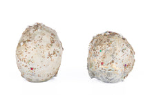 Load image into Gallery viewer, Katherine&#39;s Collection Tabletop Jewel Encrusted Skulls set of 2