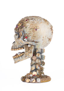 Katherine's Collection Treacherous Treasure Tall Skull Tabletop