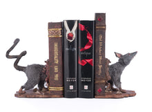 Load image into Gallery viewer, Katherine&#39;s Collection Moonspell Mouse Bookends