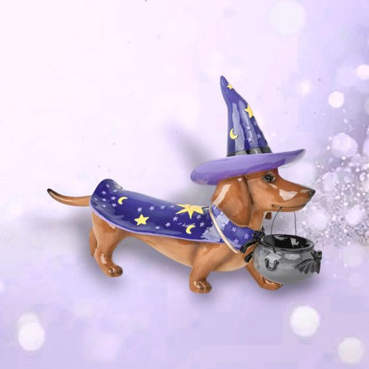 Wizard Dachshund