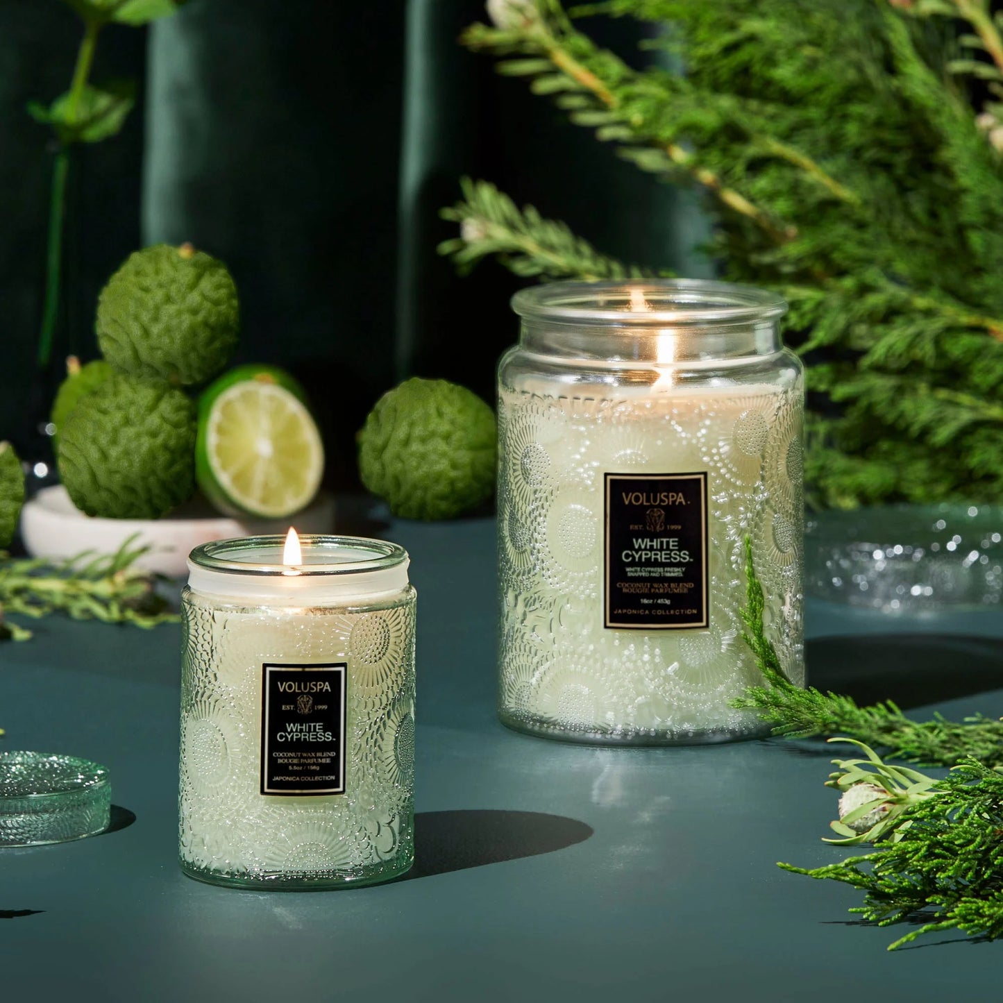 White Cypress Small Jar Candle