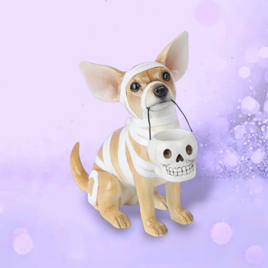 Mummy Chihuahua
