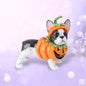 Pumpkin Bulldog