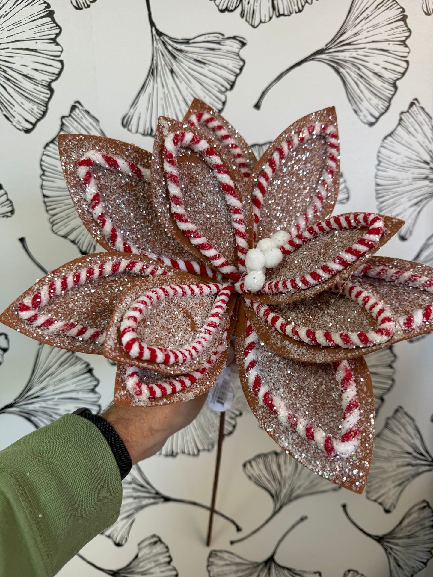 SUGAR/SPICE POINSETTIA STEM