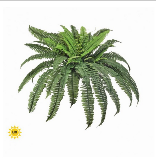 38" UV ESTATE BOSTON FERN
