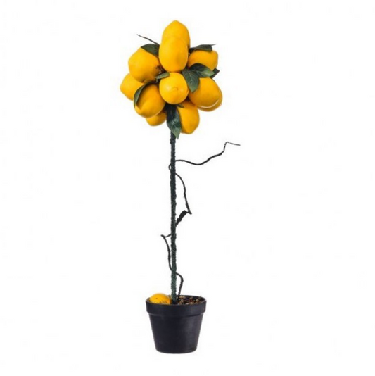 Lemon Potted Tree