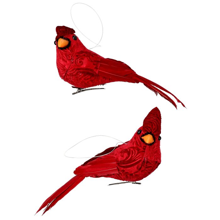 7-7.5" FEATHER RED CARDINAL 2/AST