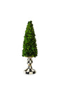 Mackenzie-Childs Courtly Check Medium Pedestal Boxwood Tree