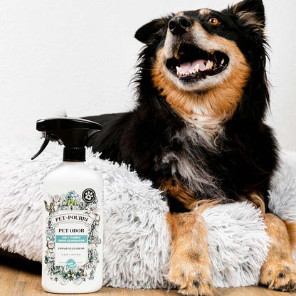 Poo~Pourri Pet~Pourri Pet Odor Eliminator