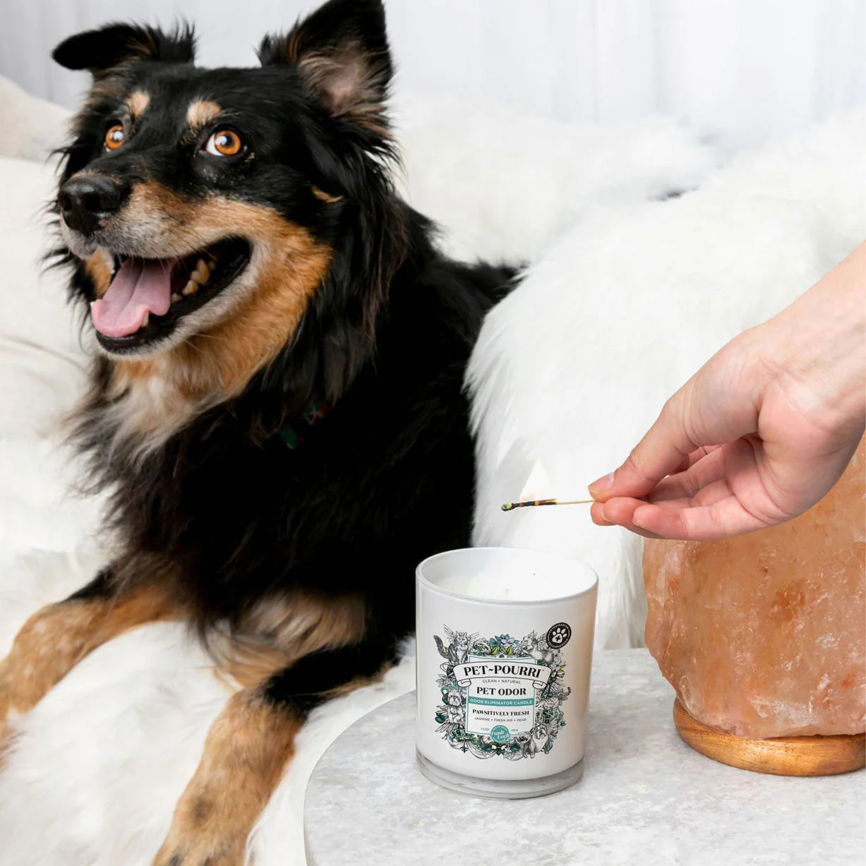 Poo~Pourri Pet~Pourri Pet Odor Pawsitively Fresh Candle