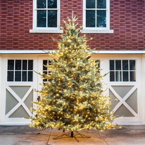 Blue Spruce Christmas Tree - 12' - Warm White LED Lights