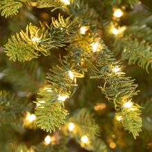Load image into Gallery viewer, Great Northern Spruce Christmas Tree - 5&#39; - Warm White LED Lights