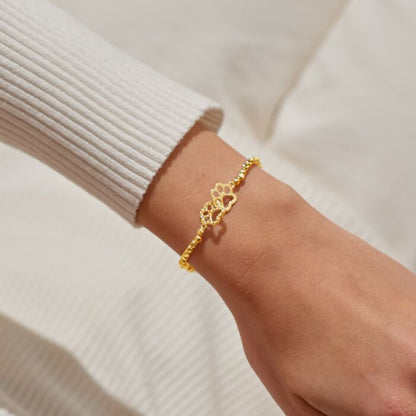 Forever Yours 'Perfect Paw Print' Bracelet In Gold-Tone Plating