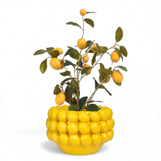 13in Lemon Planter