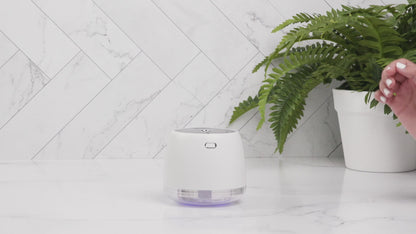 TOUCHLESS MIST SANITIZER 'ROOFTOP GARDEN CHAMPAGNE'