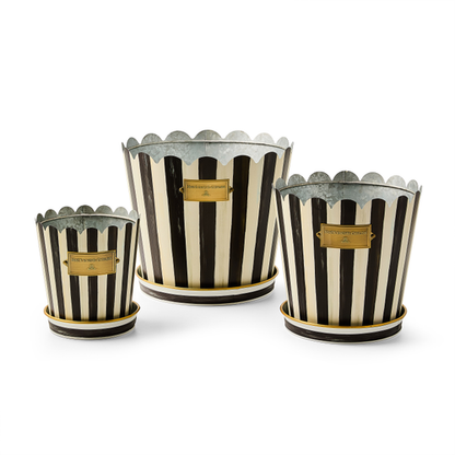 Courtly Stripe Pots & Saucers, set of 3 Mackenzie Childs
