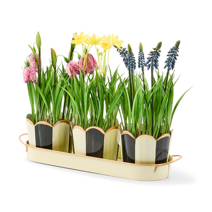 Courtly Stripe Triple Potted Blooms Mackenzie Childs