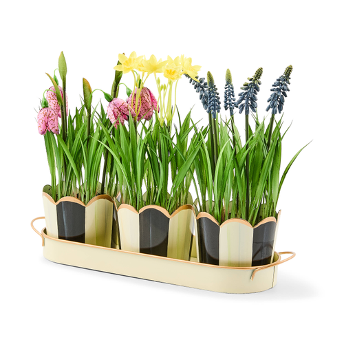 Courtly Stripe Triple Potted Blooms Mackenzie Childs