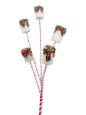 Chocolate Dipped Marshmallow Pick - 20