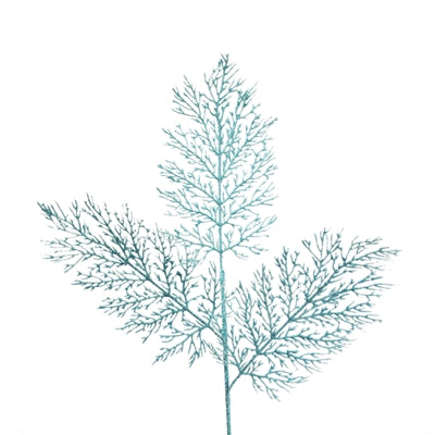 Glamorous Glittered Cedar Spray Light Aqua - 31.75