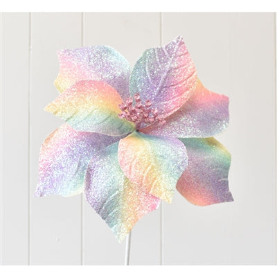 Shimmering Candy Poinsettia - 16