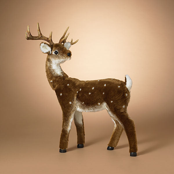 Spotted Baby Deer - 35