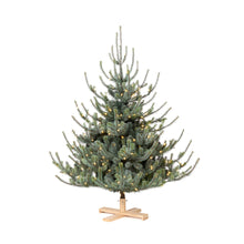 Load image into Gallery viewer, Blue Spruce Christmas Tree - 5.5&#39; - Warm White LED Lights