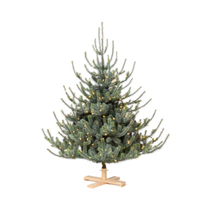 Blue Spruce Christmas Tree - 5.5' - Warm White LED Lights