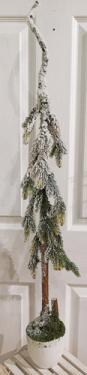 Flocked Tall Pine Tree in White Pot - 40