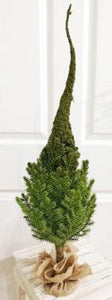 Whimsy Pine Tree - 28" T