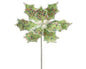 Green Sprinkles Candy Poinsettia - 24"