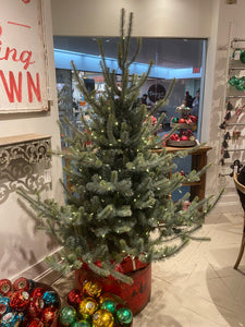 Blue Spruce Christmas Tree - 5.5' - Warm White LED Lights